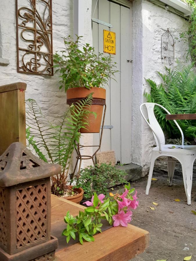 The Artist'S Retreat Apartment Calstock ภายนอก รูปภาพ