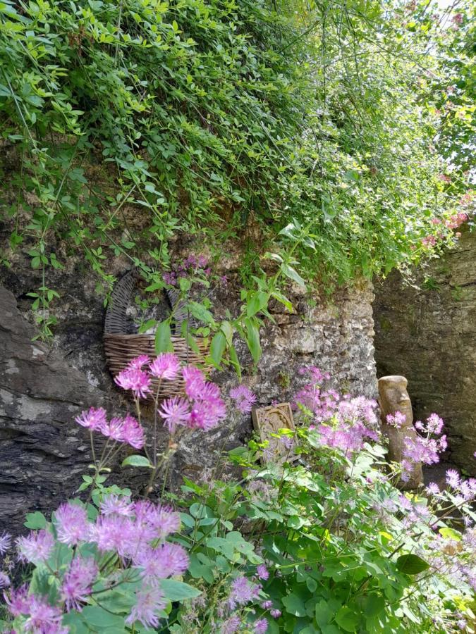 The Artist'S Retreat Apartment Calstock ภายนอก รูปภาพ