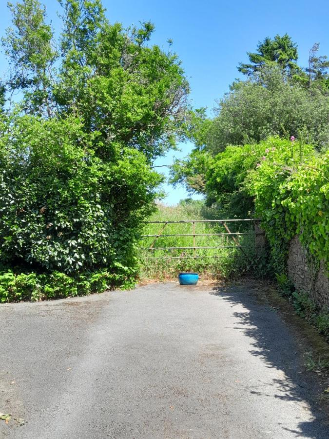 The Artist'S Retreat Apartment Calstock ภายนอก รูปภาพ